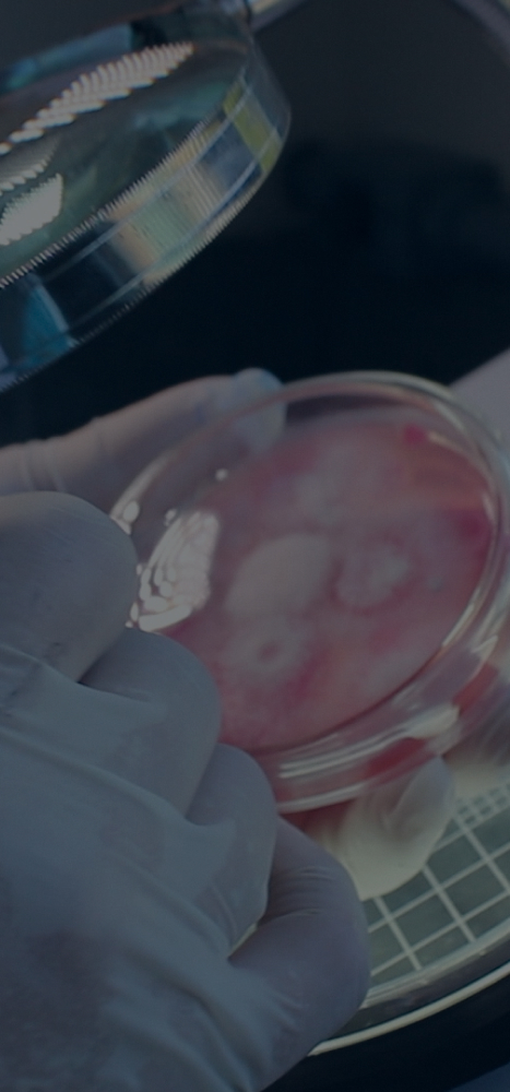 ANÁLISES DE MICRORGANISMOS EM PRODUTOS BIOLÓGICOS  (ON FARM)